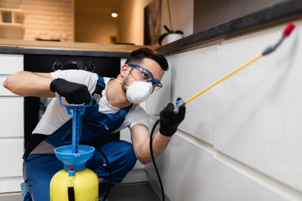 Flea Control Services in Short Hills, NJ