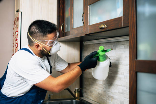 Best Insect Control  in Short Hills, NJ