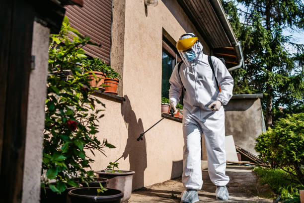 Best Pest Control Near Me  in Short Hills, NJ