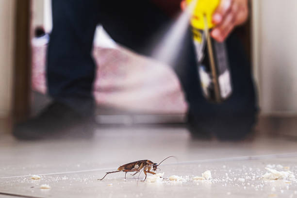 Best Flea Control Services  in Short Hills, NJ