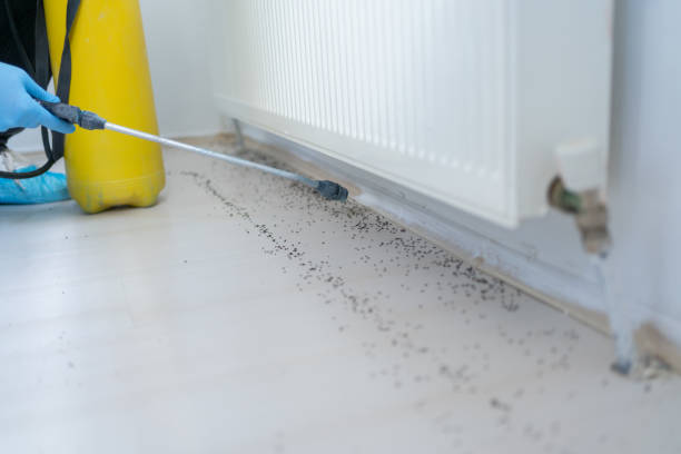 Best Mosquito Control Services  in Short Hills, NJ