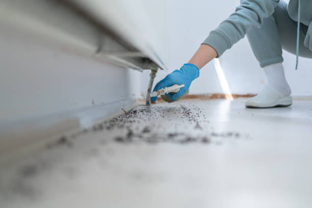 Best Affordable Pest Control Services  in Short Hills, NJ