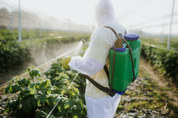 Best Bed Bug Extermination  in Short Hills, NJ